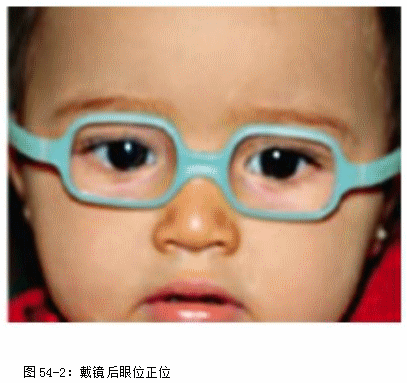 ZY016_285_3.gif